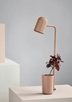 Online Northern Buddy bordlampe