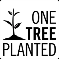 Clearance Umage Clava Dine Wood