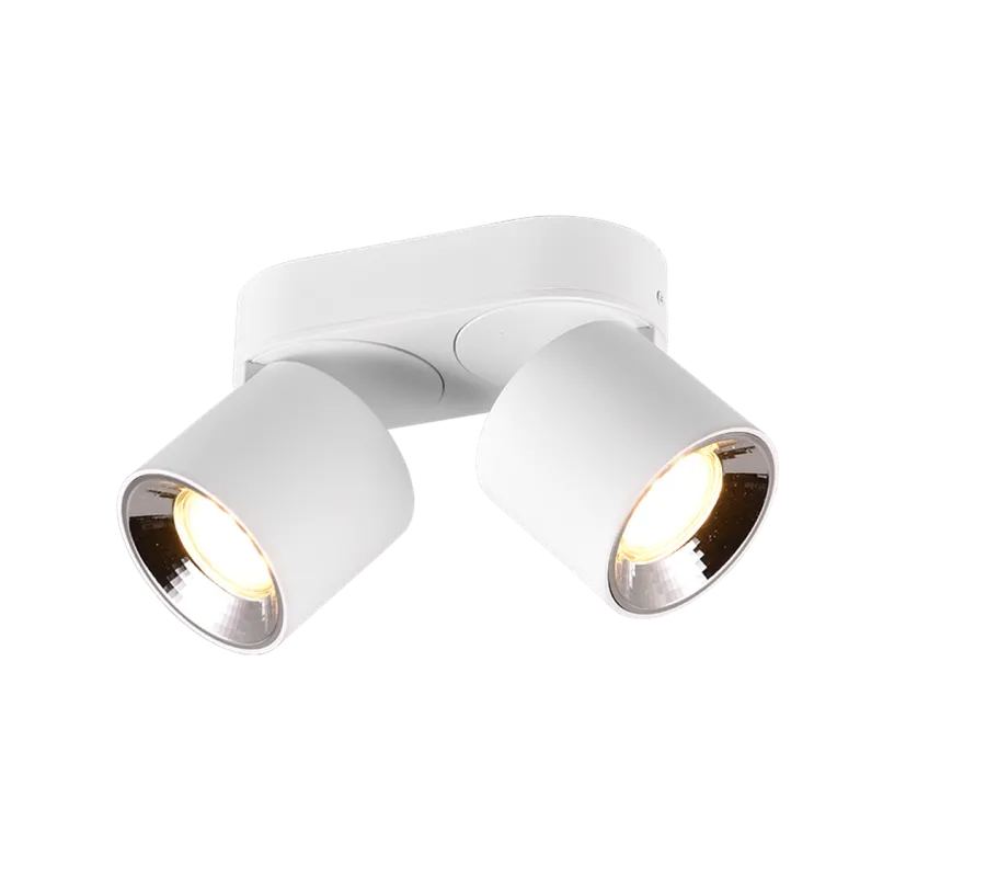 Discount Trio Lighting Guayana takspot 2-lys GU10 - Kan felles inn i tak