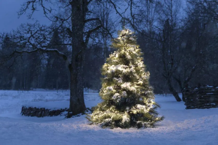 Best Konstsmide Juletrelys 8,5m - Cluster 1152 multifunksjon Led IP44 - Amber
