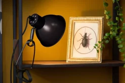 Outlet Lucide Moys bordlampe med clips Svart