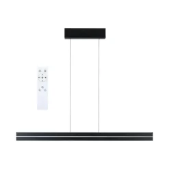 Best Paulmann Raiko takpendel 19/6W 2700-6500 Kelvin RGB med fjernkontroll