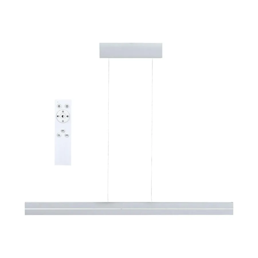 Best Paulmann Raiko takpendel 19/6W 2700-6500 Kelvin RGB med fjernkontroll