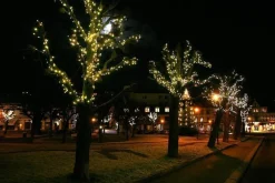 New Trend Collection Utbygging Led slynge 50 lys 5,2 meter Svart